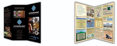 Brochure Samples