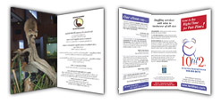 Brochure Printing
