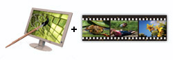 Design and Print Rack Cards